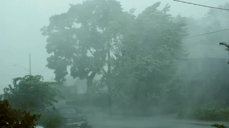 সাত অঞ্চলের নদীবন্দরে ১ নম্বর সতর্কতা সংকেত